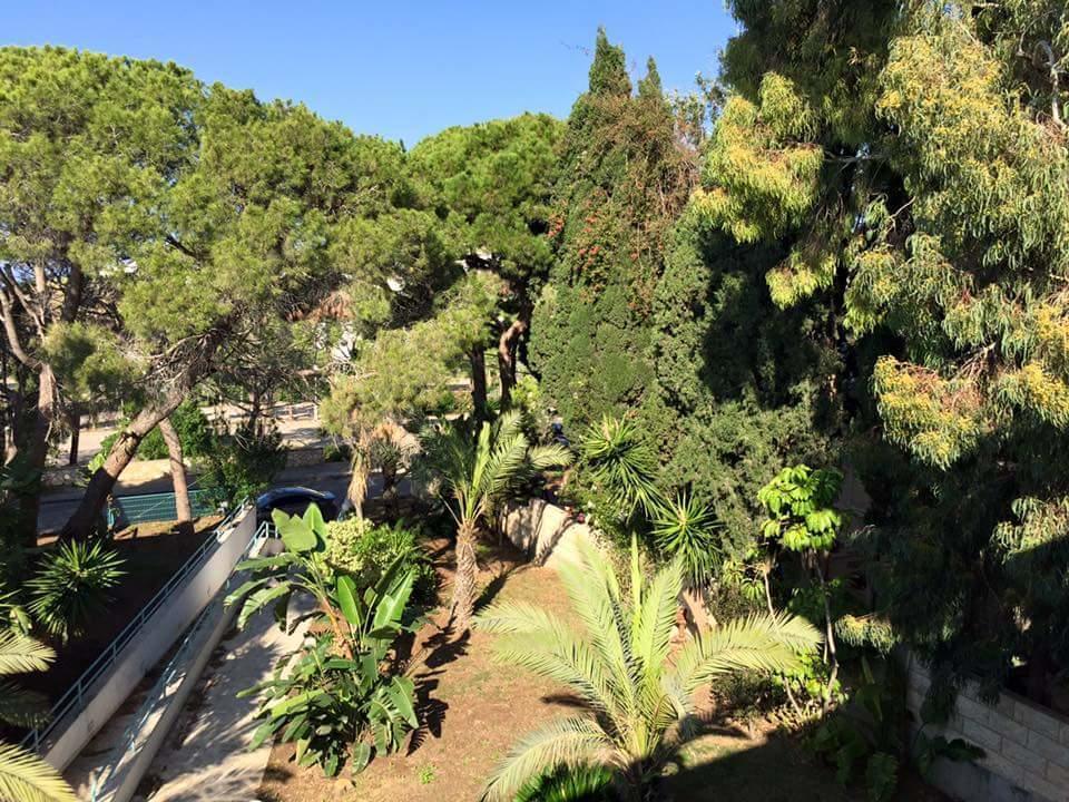 Carmel Mountain Motel Haifa Buitenkant foto